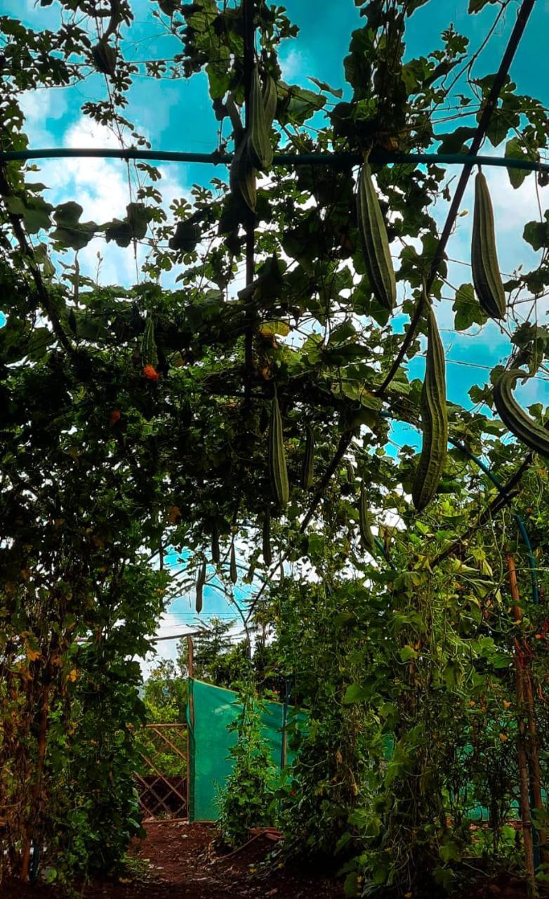 Chalobahills Farmstay Resort Ajra Esterno foto
